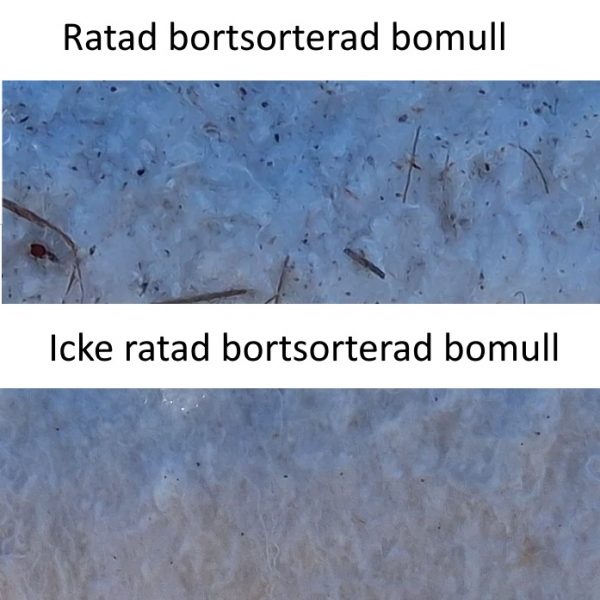 Bortsorterad och icke bort sorterad bomull